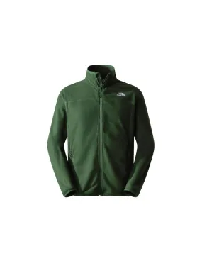 Mountain Jacket The North Face 100 Glacier Green Man